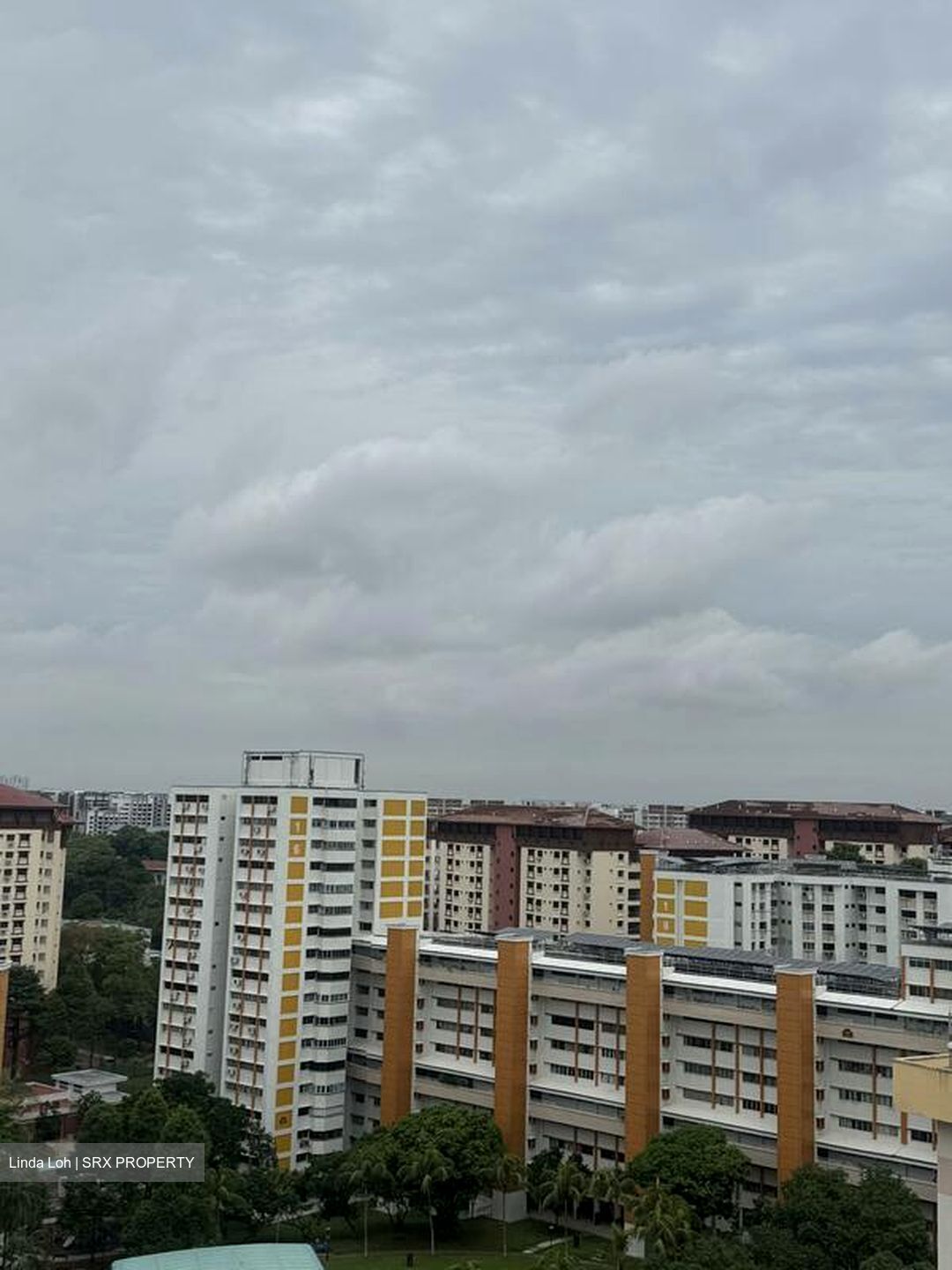 Blk 19 Joo Seng Road (Toa Payoh), HDB 5 Rooms #506061501
